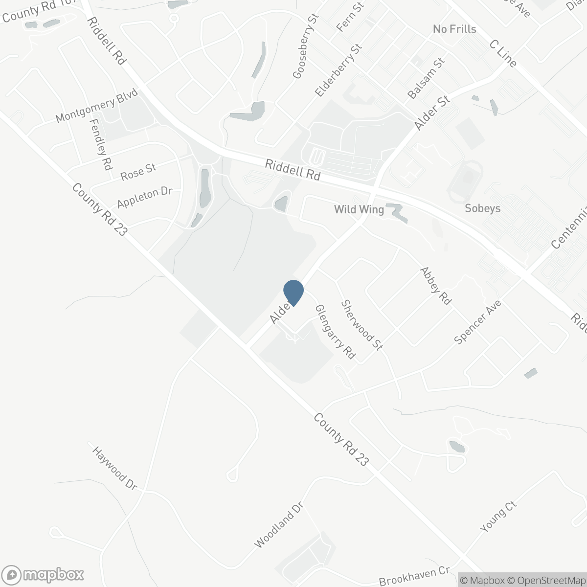 29 ALDER STREET, Orangeville, Ontario L9W 5A5